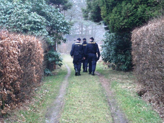 Foto 15