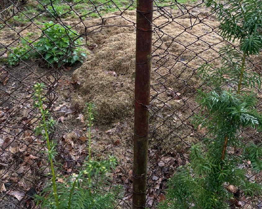 Foto 2.jpg