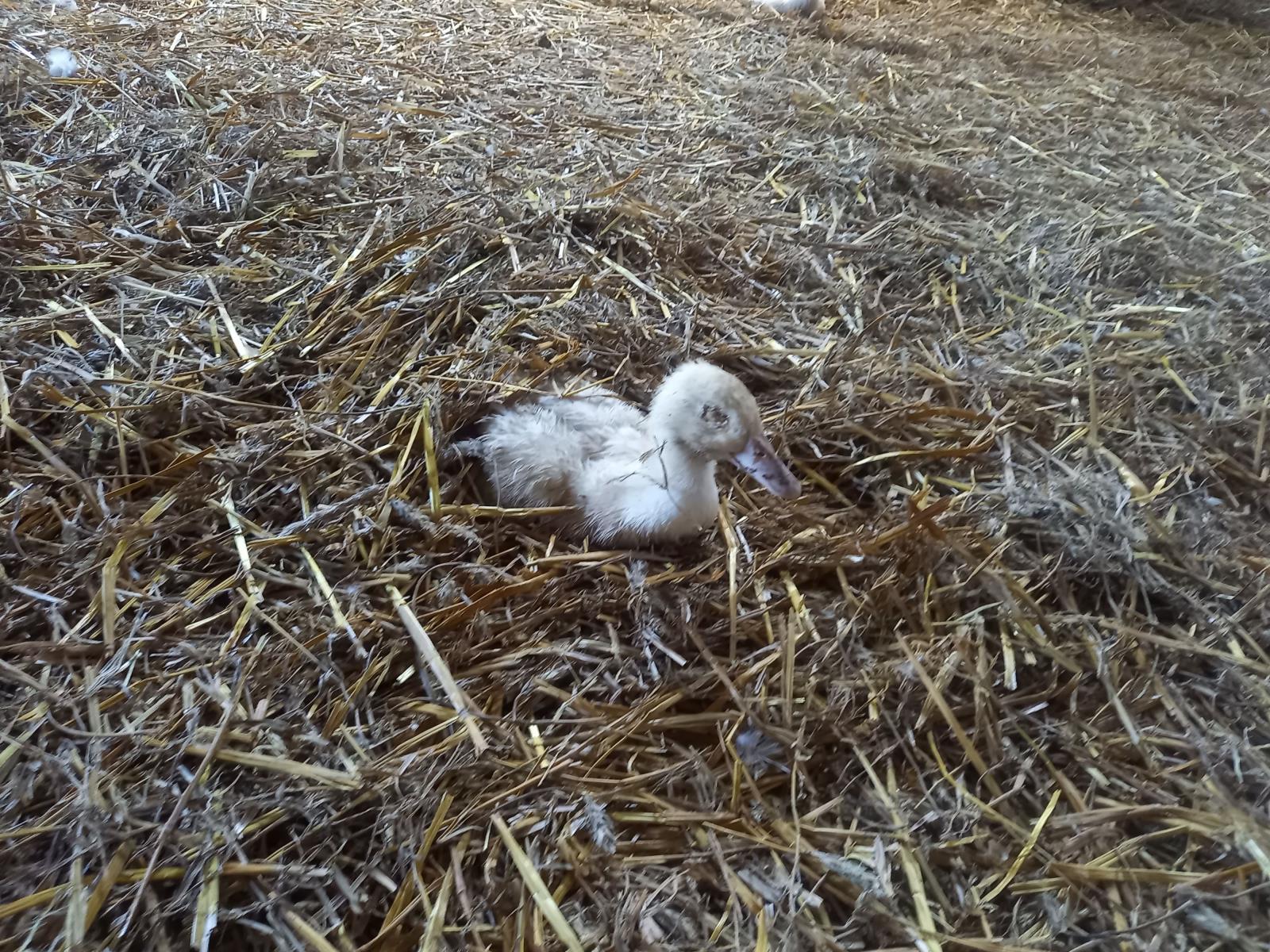 Foto 4.jpg
