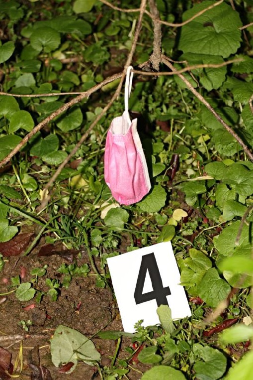 Foto 8.jpg
