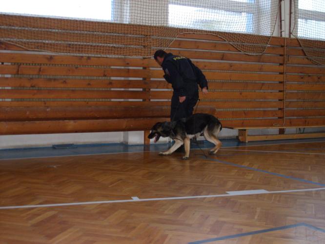 Foto PČR