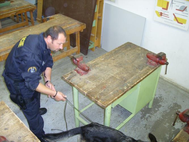 Foto PČR