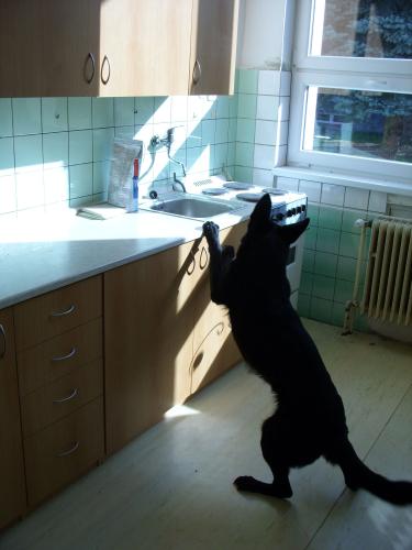Foto PČR