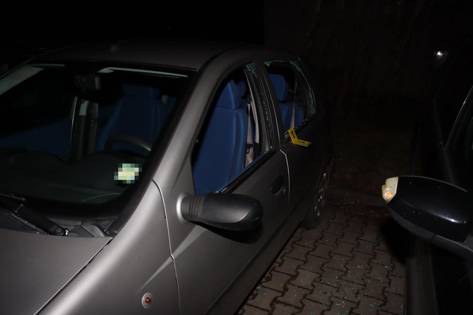 Foto PČR 1.JPG