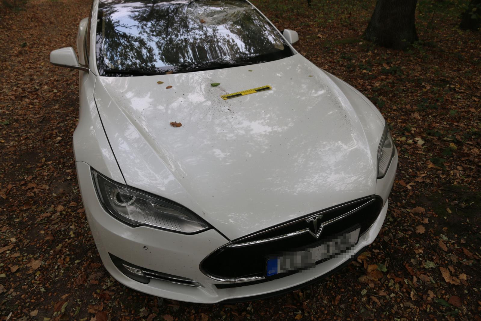 Foto PČR 2.JPG