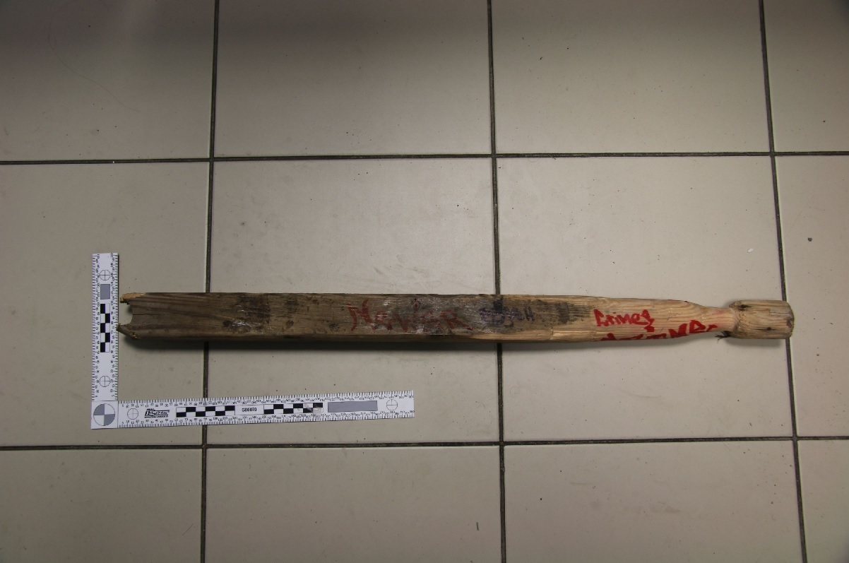 Foto č. 1 - Palice.jpg