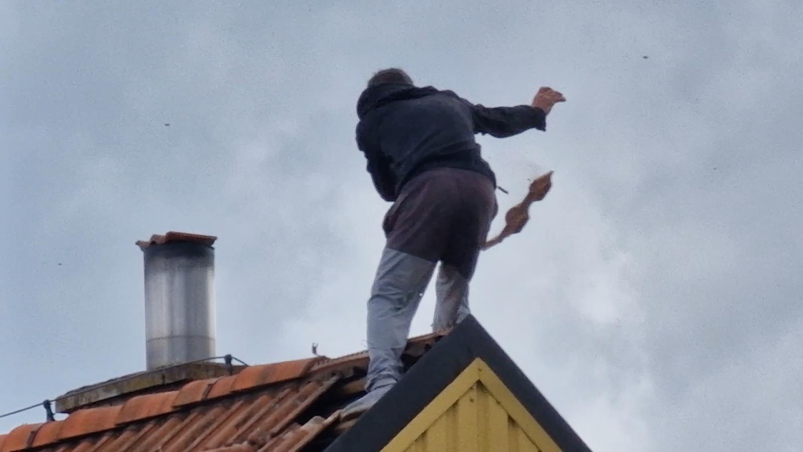 Foto č. 1.jpg