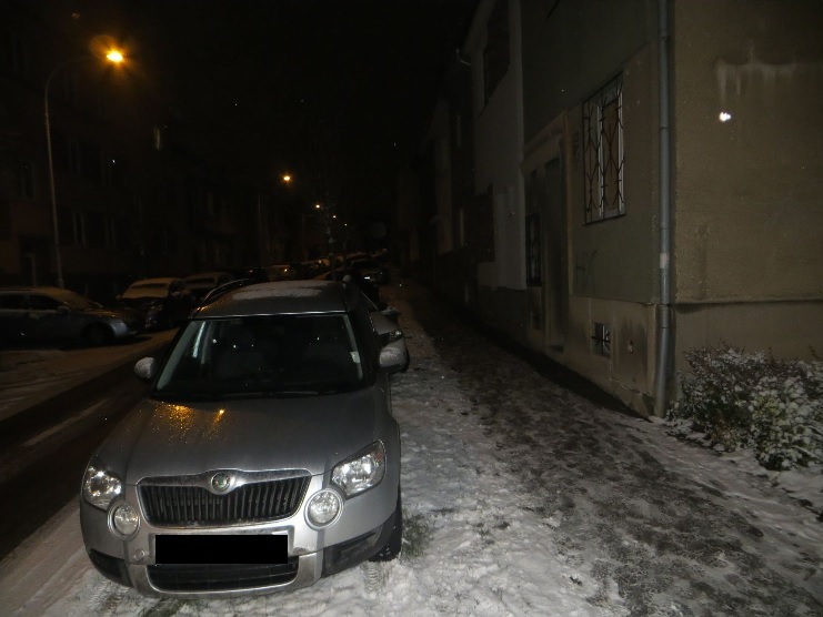 Foto č. 1.jpg