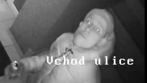 Foto č. 1.jpg