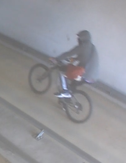 Foto č. 1.jpg