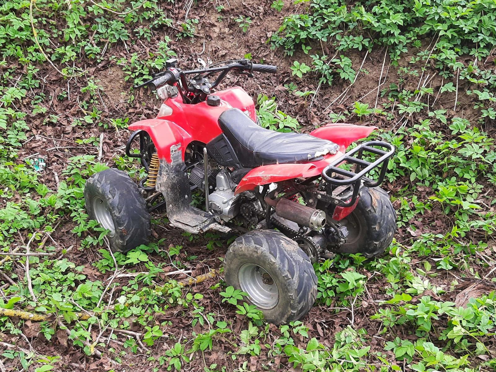 Foto č. 2 - Labuty.jpg