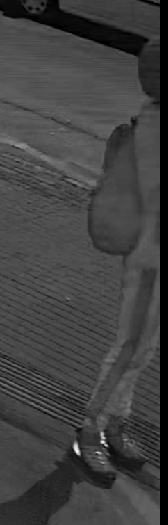 Foto č. 2 - Pachatel.jpg