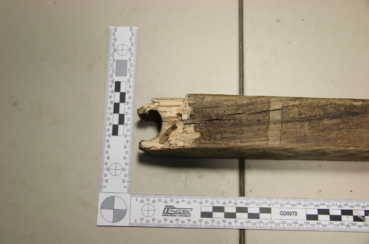 Foto č. 2 - Palice.jpg