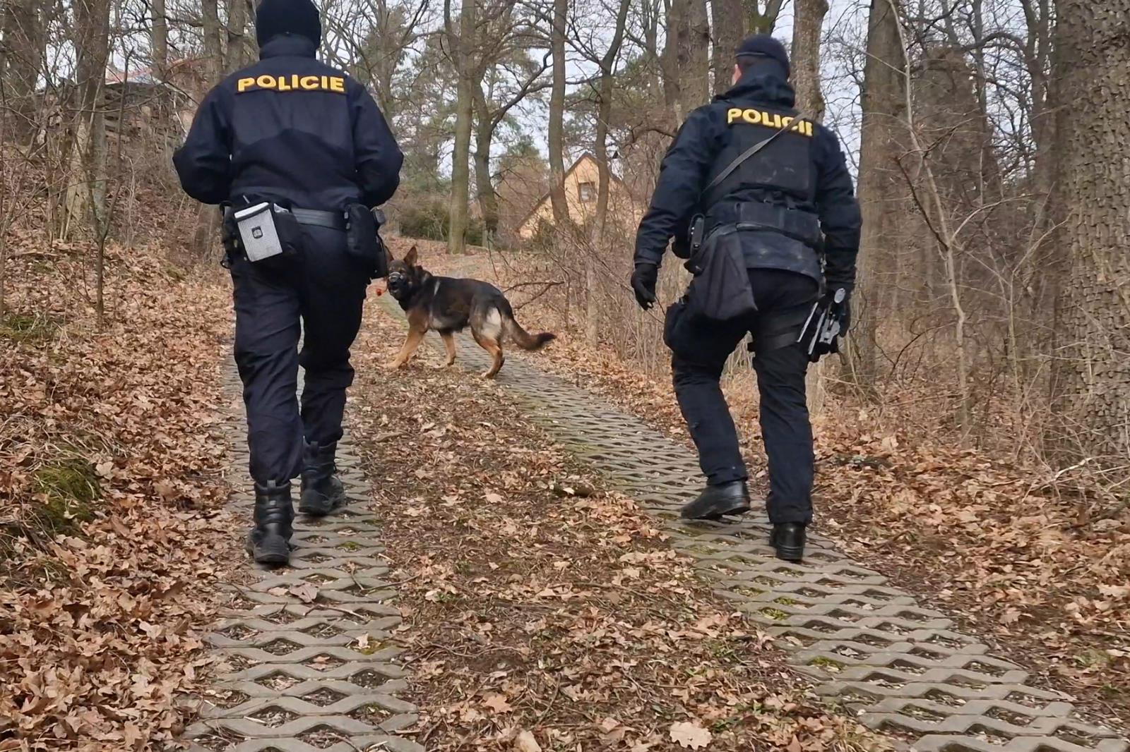 Foto č. 6.jpg