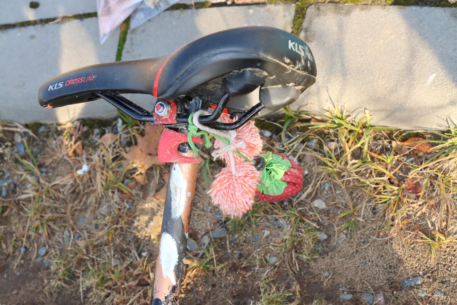 Foto č. 8 - Jízdní kolo neznámého cyklisty.JPG