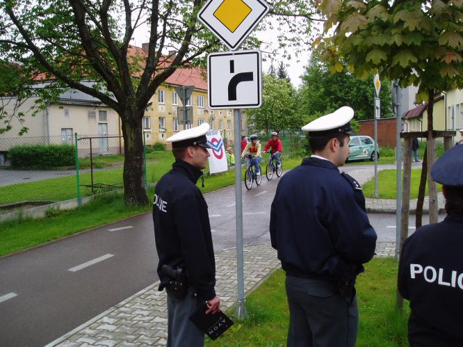 Foto č.6