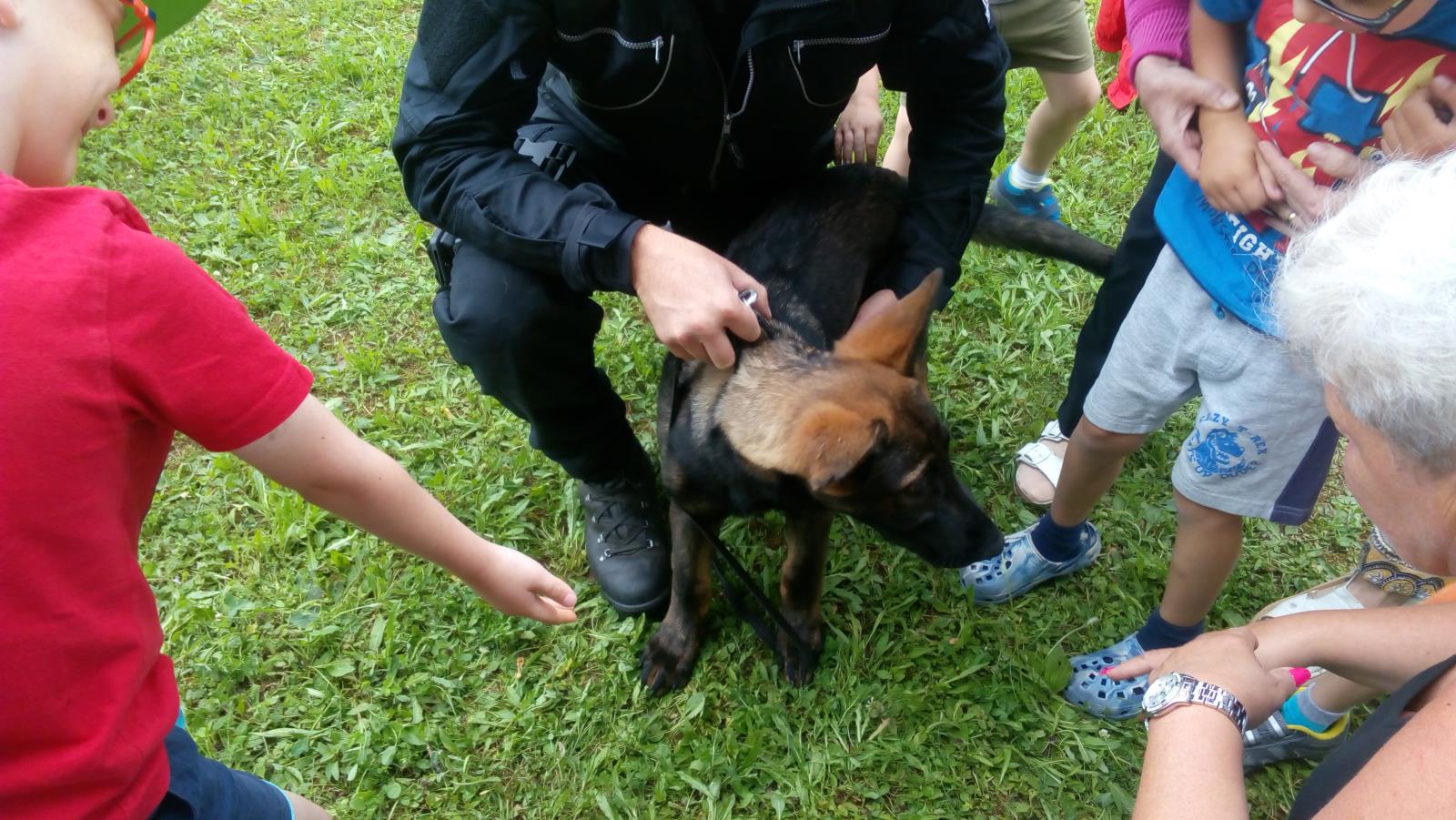 Foto v MŠ