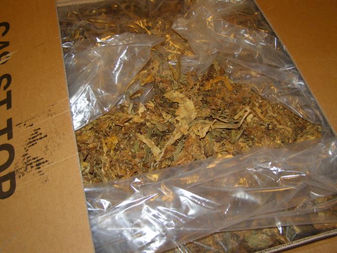 Foto_05