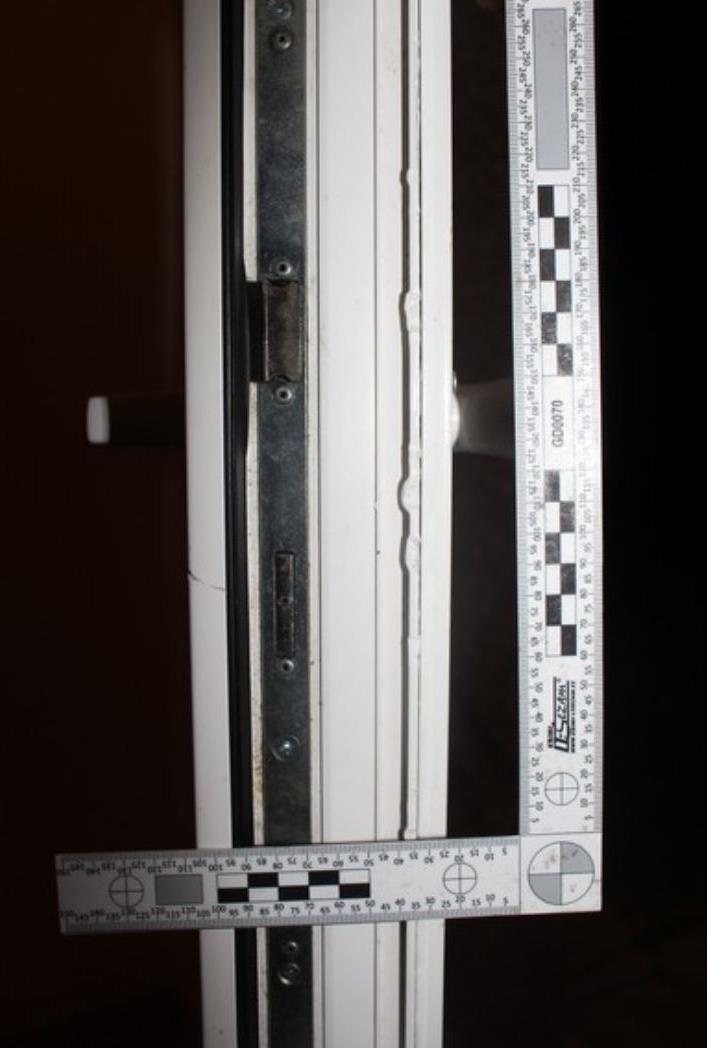 Foto_1.jpg