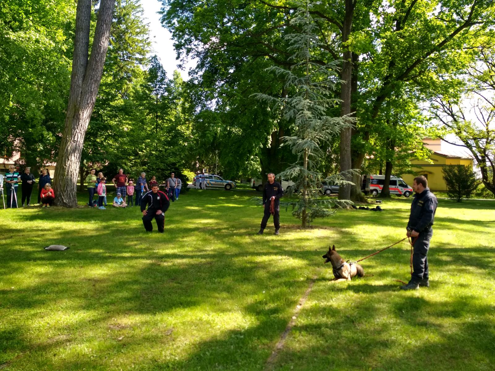 Hamzova léčebna Košumberk