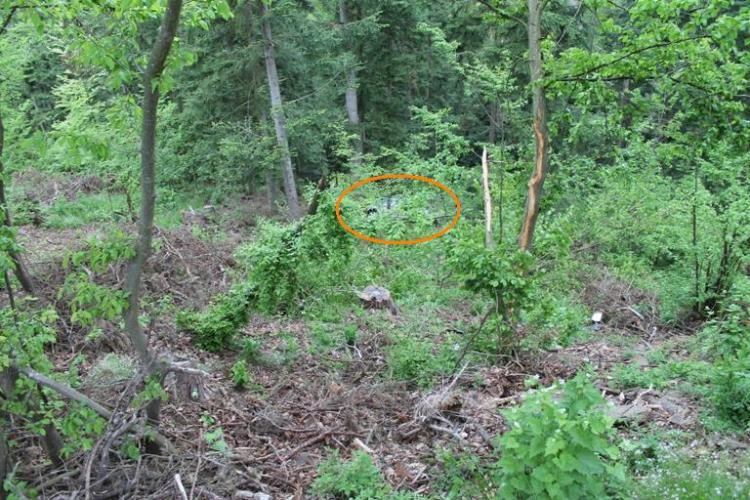 Havárie u obce Zblovice