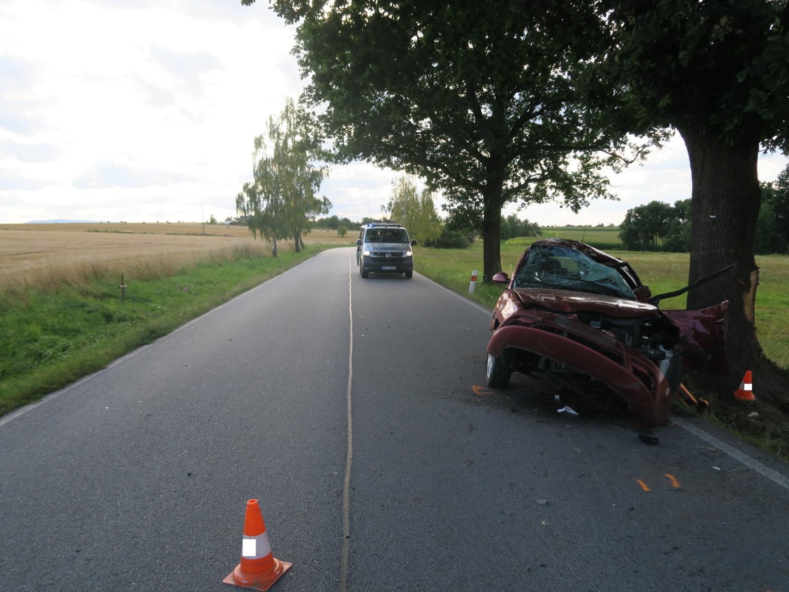 Hledáme svědky tragického střetu vozidla se stromem.