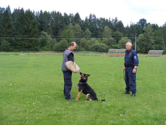 Hlídám pachatele.JPG