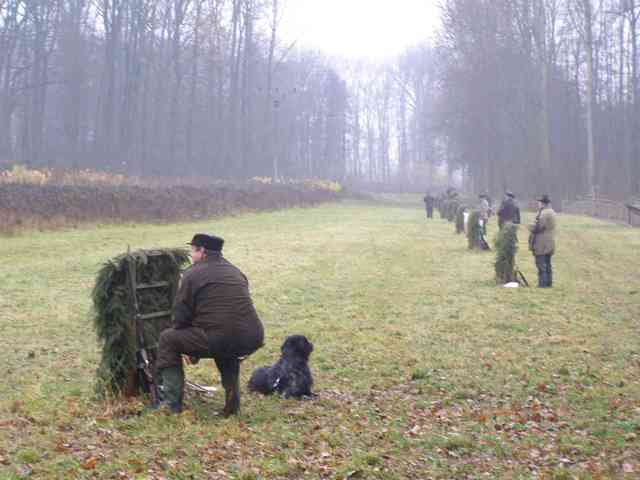Hon 2010 - foto č. 3.