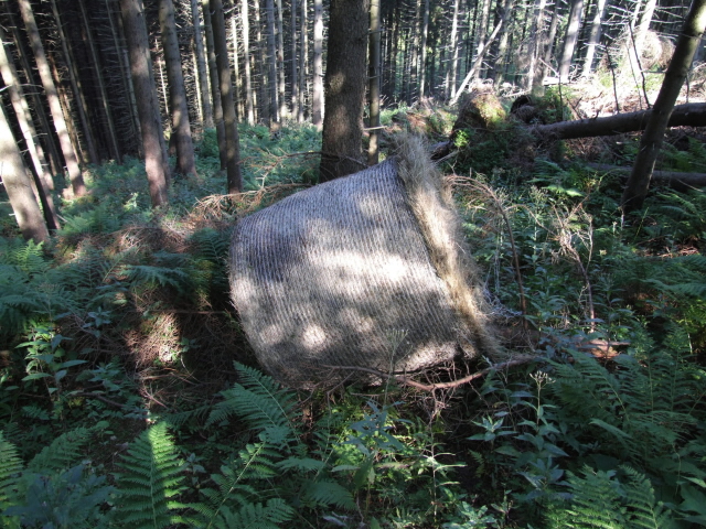 Horní Malá Úpa 10.8.