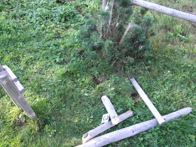 Horní Malá Úpa 10.8.