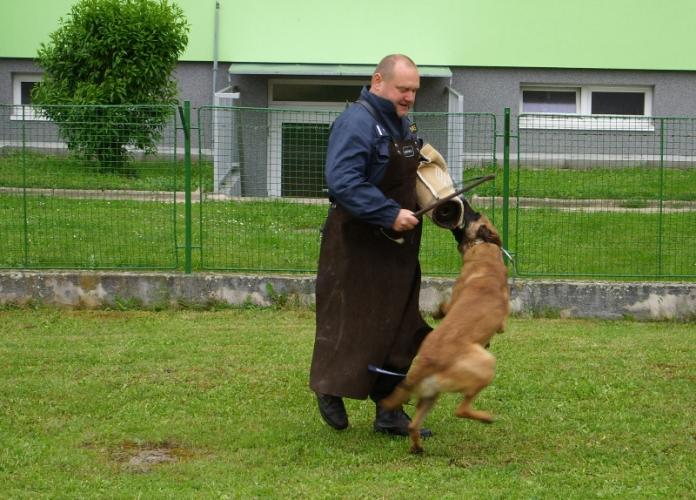 Hrajeme si s dopravou