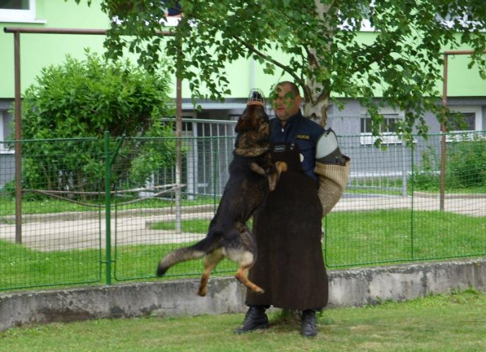 Hrajeme si s dopravou