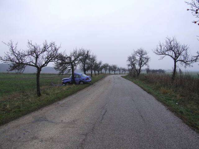 Hřibojedy 21.11.
