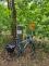 IMG-20220714-WA0006