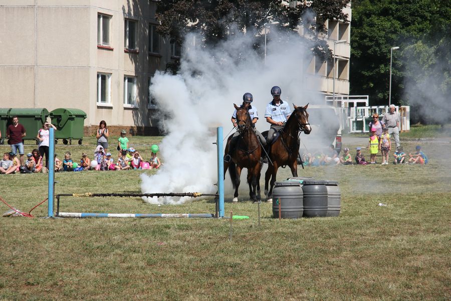 IMG_7443.JPG