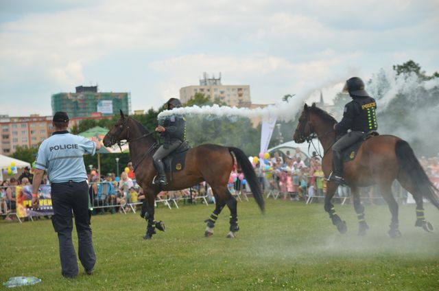 IZS 2018   11