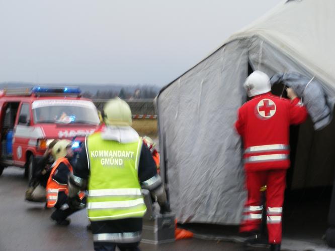 IZS Č.Velenice 24.11.2010.jpg