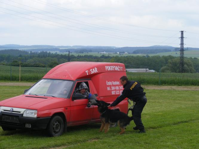 IZS Dačice -  služební pes PČR  s psovodem zadržuje pachatele .jpg