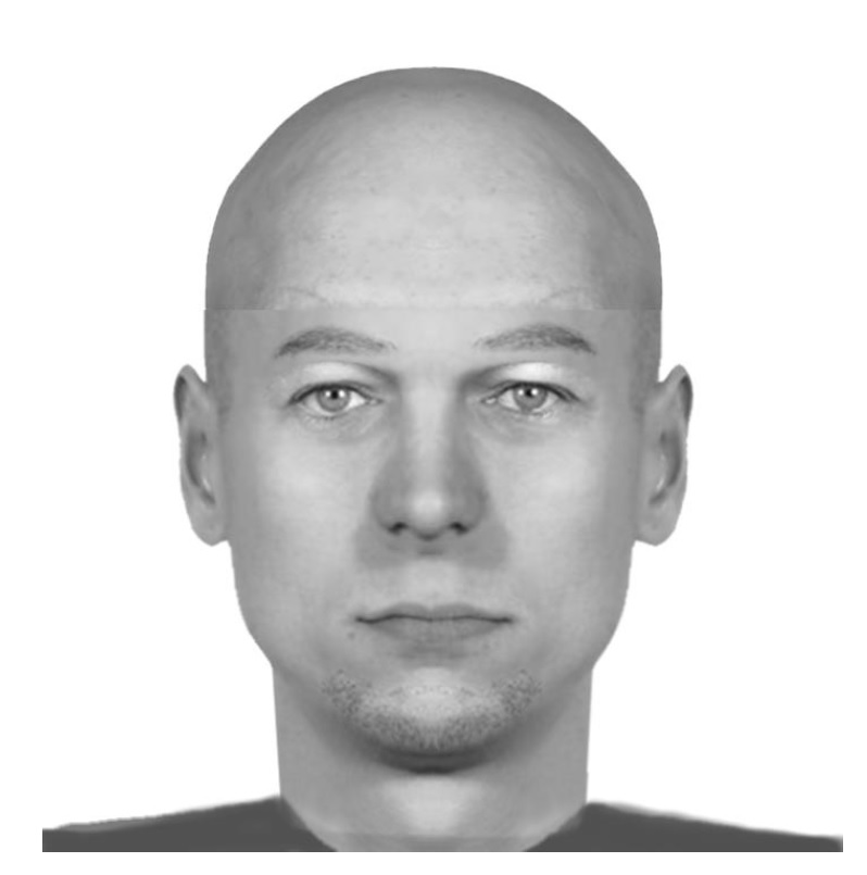 Identikit