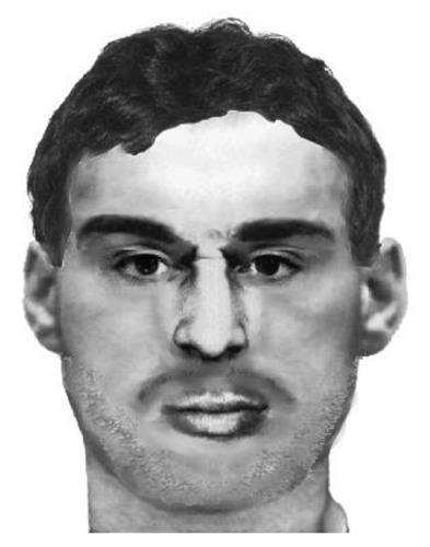 Identikit 2. znásilnění