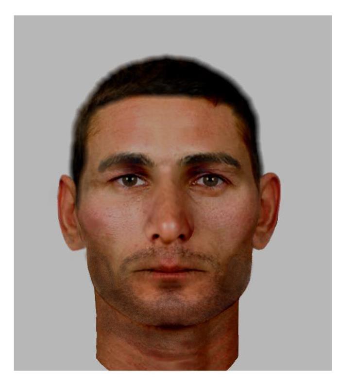 Identikit.jpg