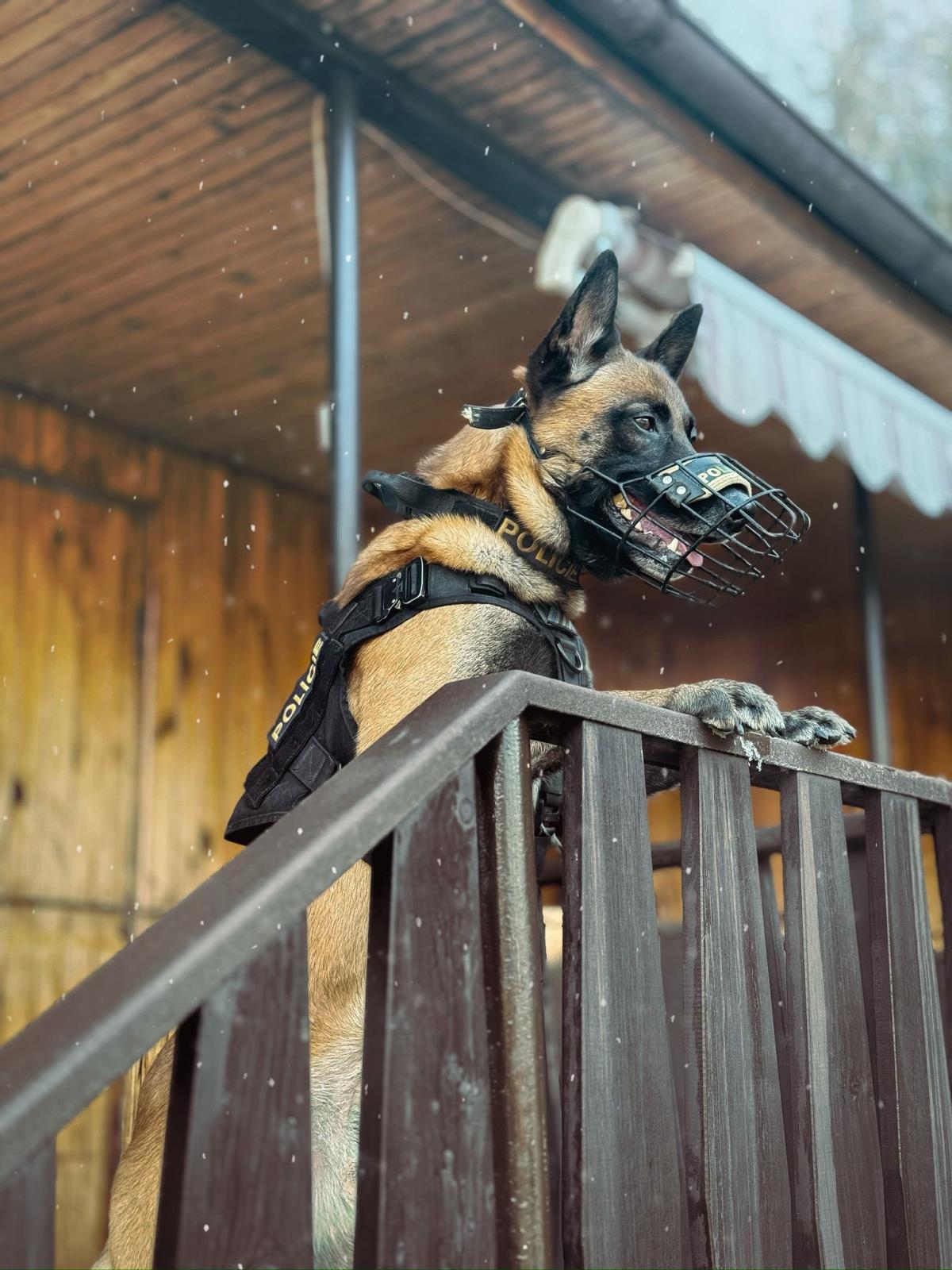 Ilustrační fotografie