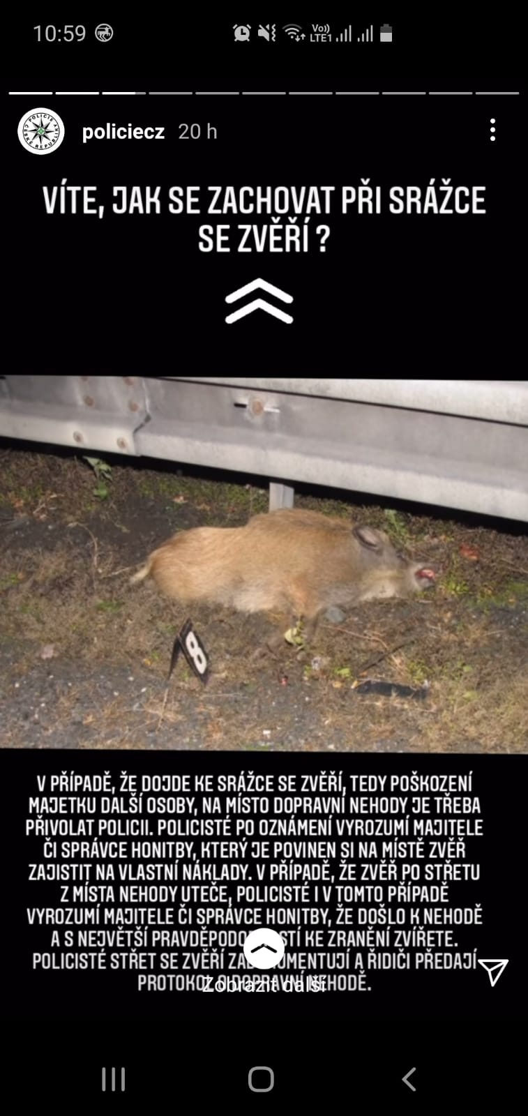 Jak se zachovat při srážce se zvěří