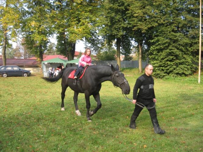 Jízdní oddíl MP Ostrava.jpg