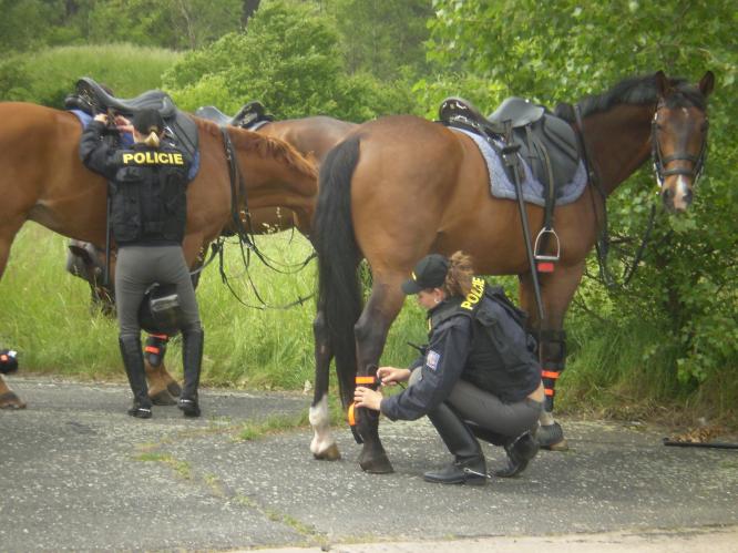 Jízdní oddíl pražské policie