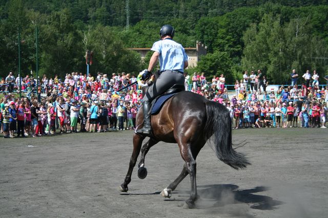 Jízdní policie.JPG