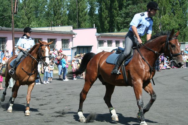 Jízdní policie2.jpg