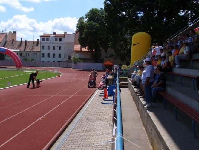 K - psovodi
