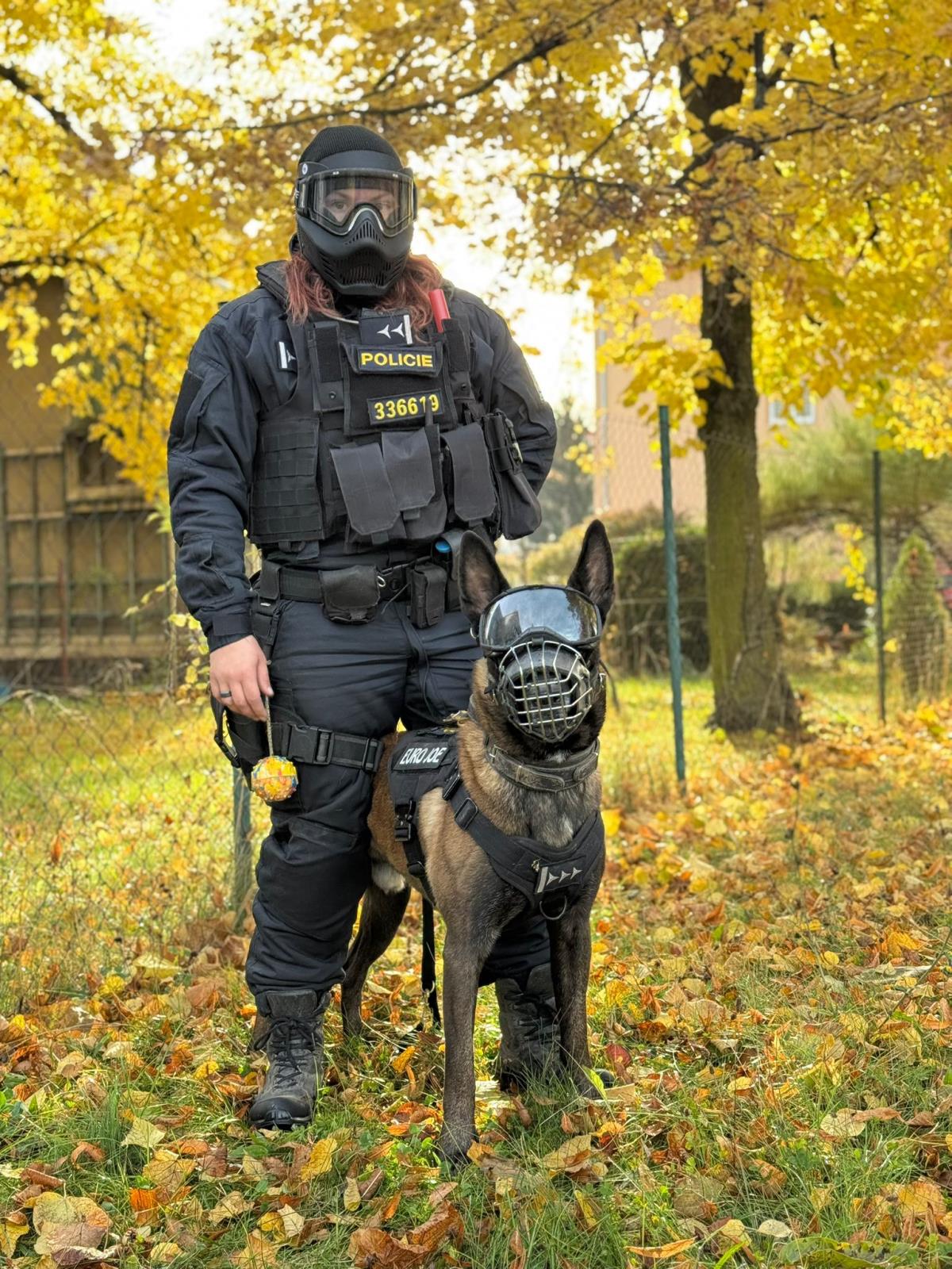 K9