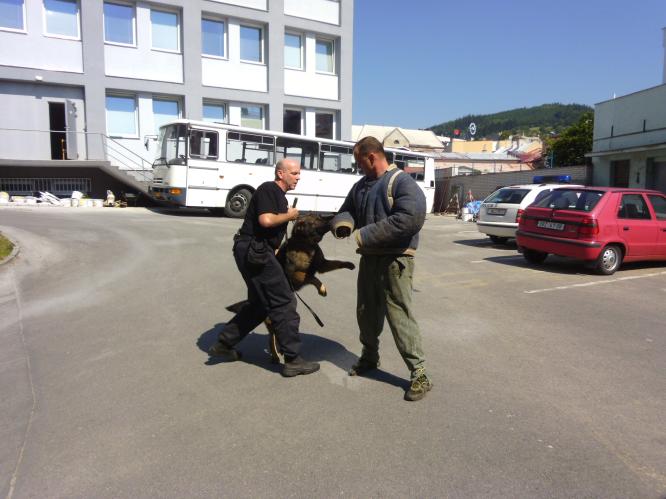 Když zlobí i dospělí